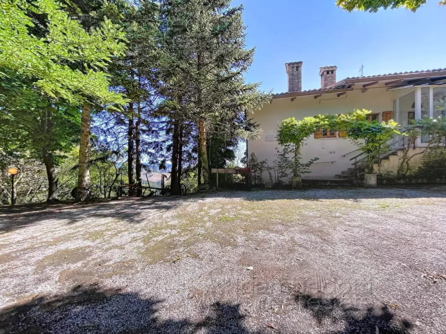 Immagine 61 di Casa indipendente in vendita  a Isola Del Piano