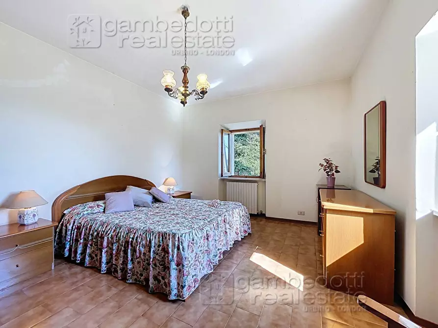 Immagine 22 di Casa indipendente in vendita  a Isola Del Piano