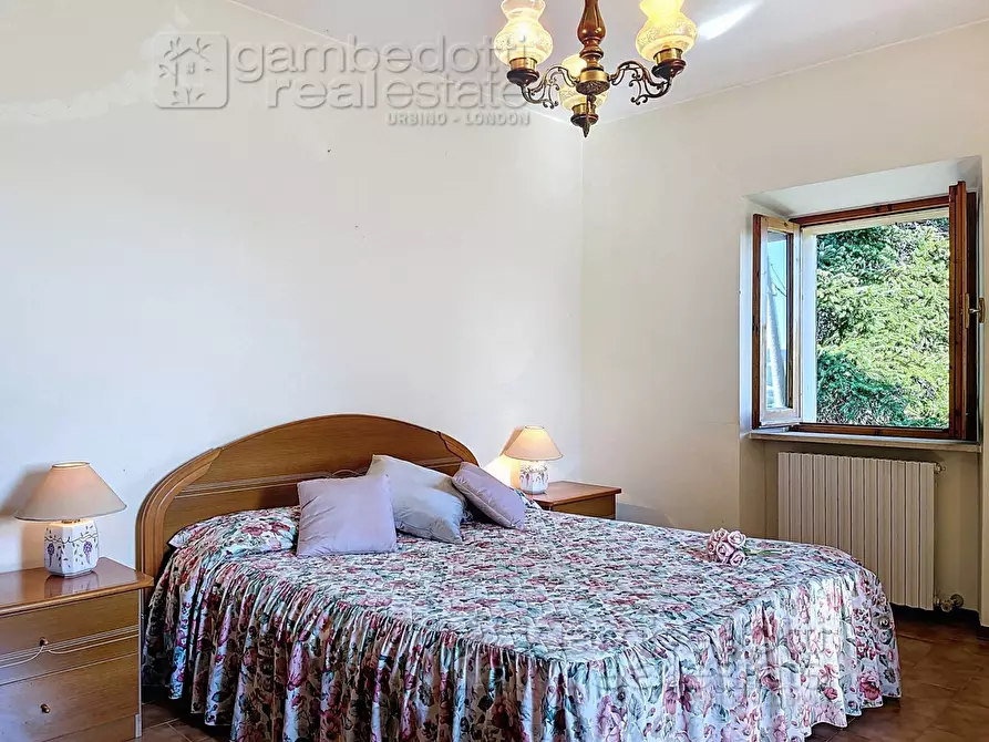 Immagine 23 di Casa indipendente in vendita  a Isola Del Piano