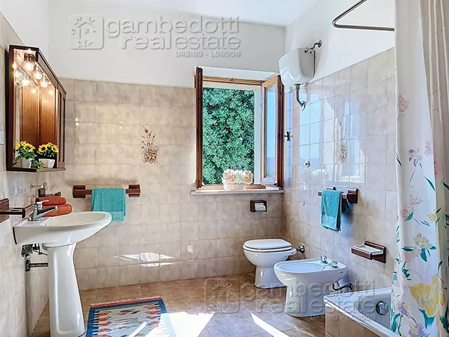 Immagine 32 di Casa indipendente in vendita  a Isola Del Piano