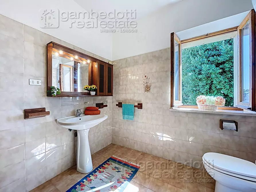 Immagine 34 di Casa indipendente in vendita  a Isola Del Piano