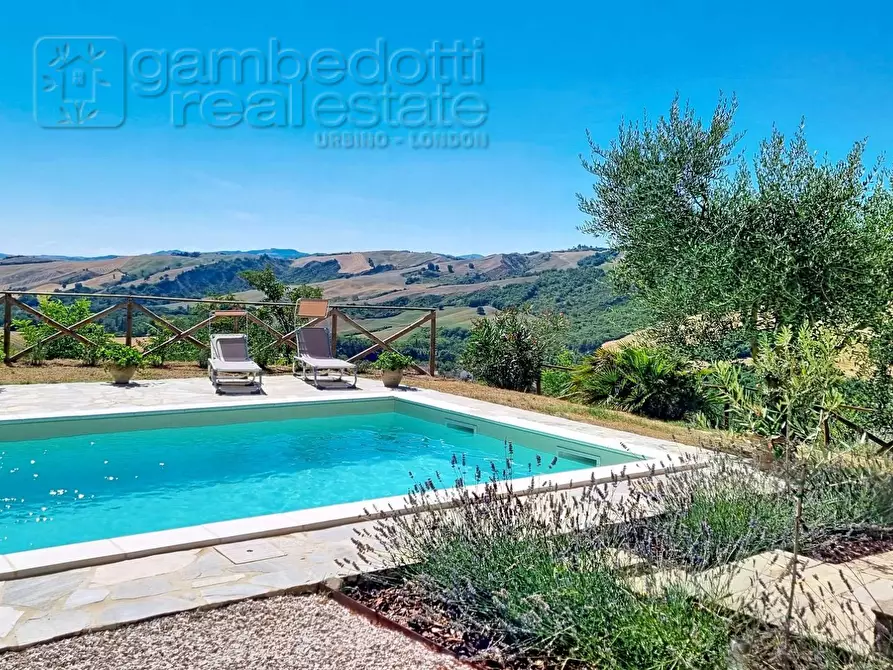 Immagine 6 di Villa in vendita  a Sassocorvaro Auditore