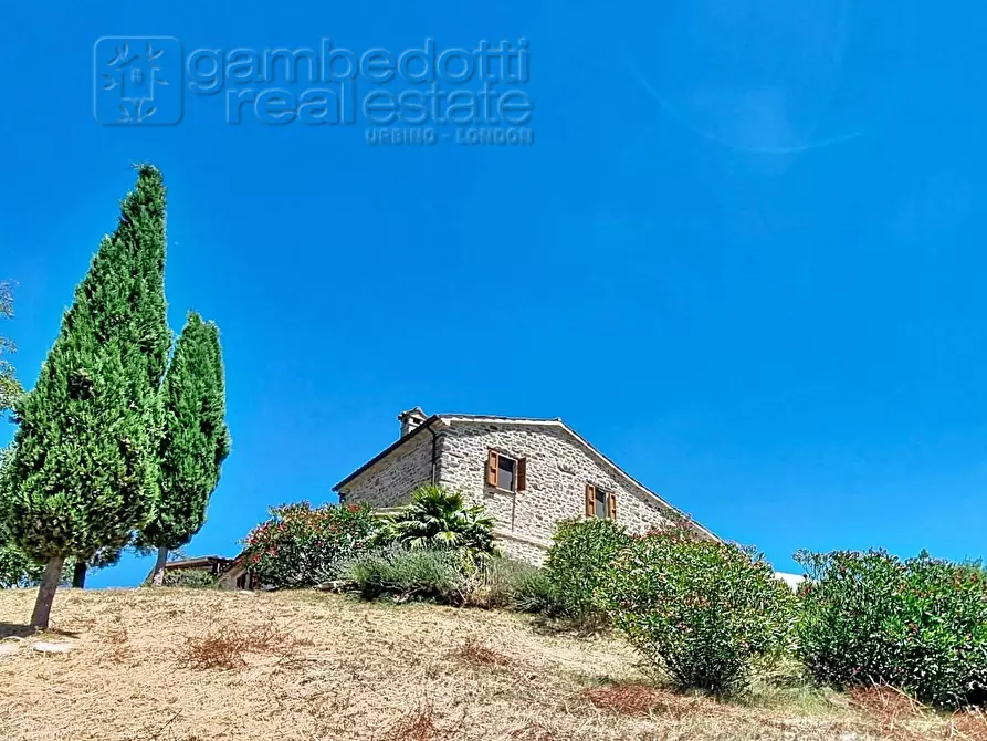 Immagine 42 di Villa in vendita  a Sassocorvaro Auditore