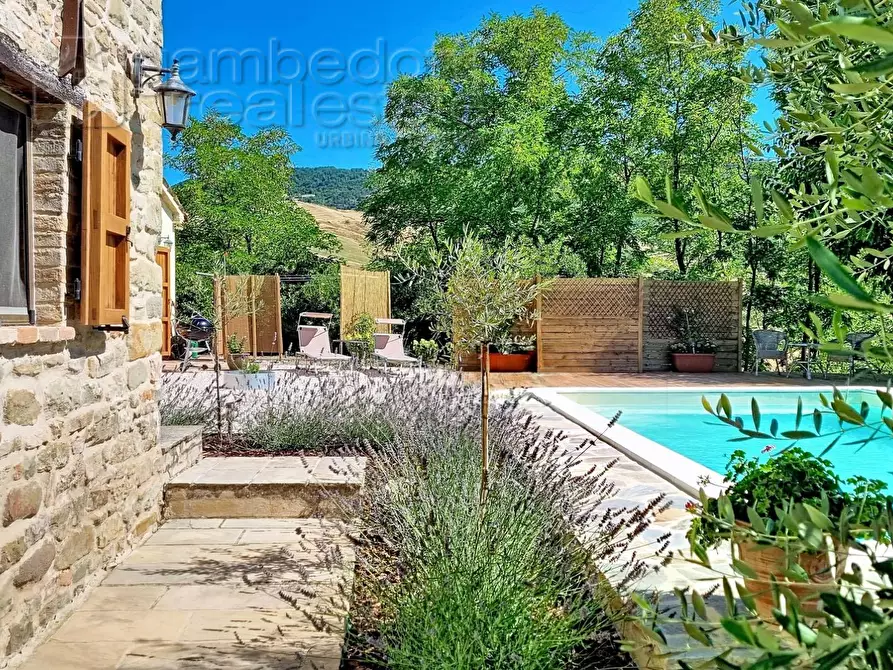 Immagine 4 di Villa in vendita  a Sassocorvaro Auditore