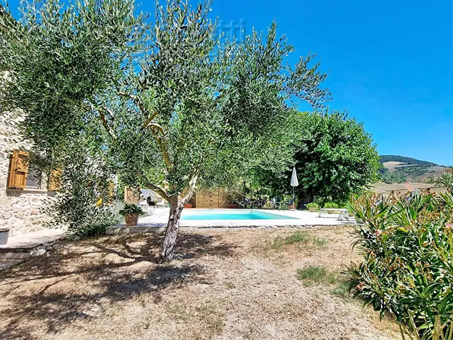 Immagine 39 di Villa in vendita  a Sassocorvaro Auditore