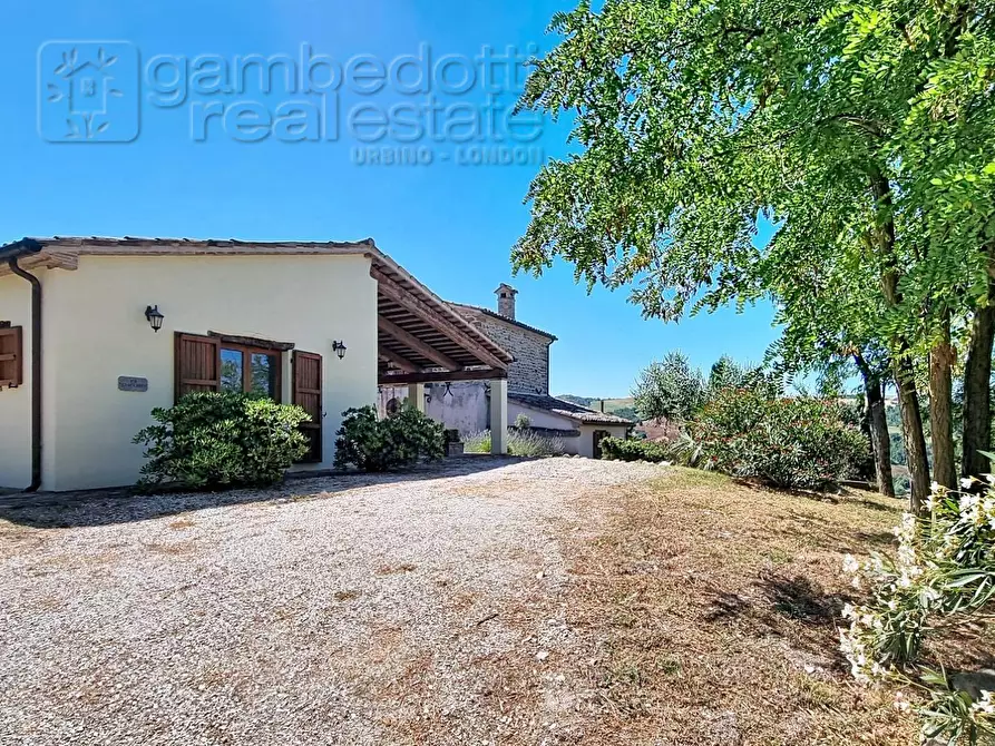 Immagine 41 di Villa in vendita  a Sassocorvaro Auditore