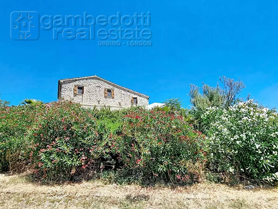 Immagine 43 di Villa in vendita  a Sassocorvaro Auditore