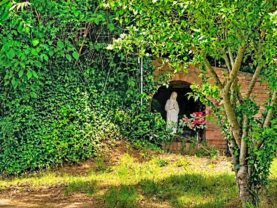 Immagine 23 di Villa in vendita  a Bertinoro