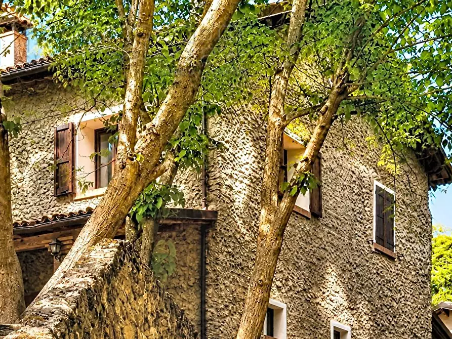 Immagine 3 di Villa in vendita  a Bertinoro