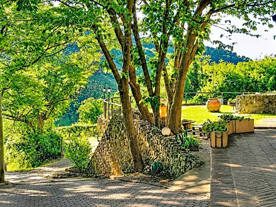 Immagine 20 di Villa in vendita  a Bertinoro