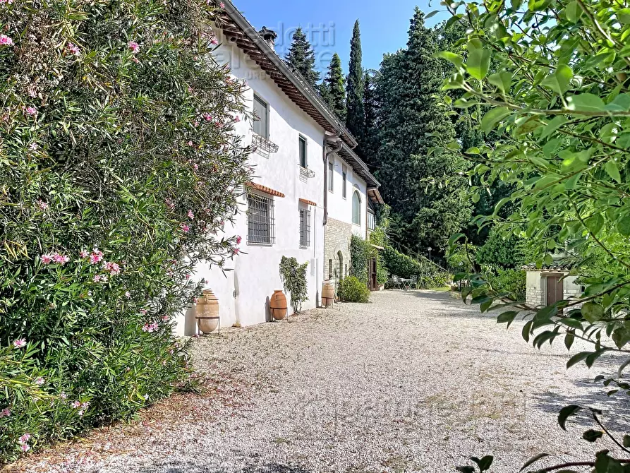 Immagine 61 di Villa in vendita  a Urbino