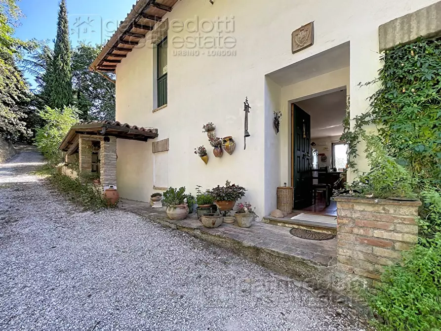 Immagine 3 di Villa in vendita  a Urbino