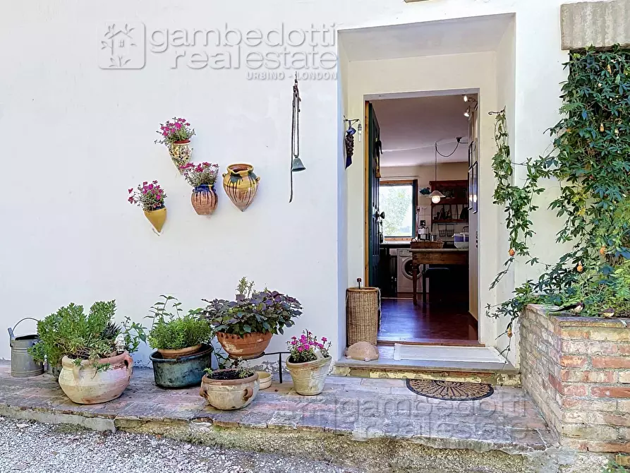 Immagine 5 di Villa in vendita  a Urbino