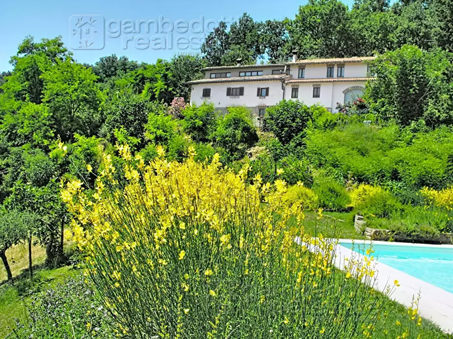 Immagine 1 di Villa in vendita  a Urbino