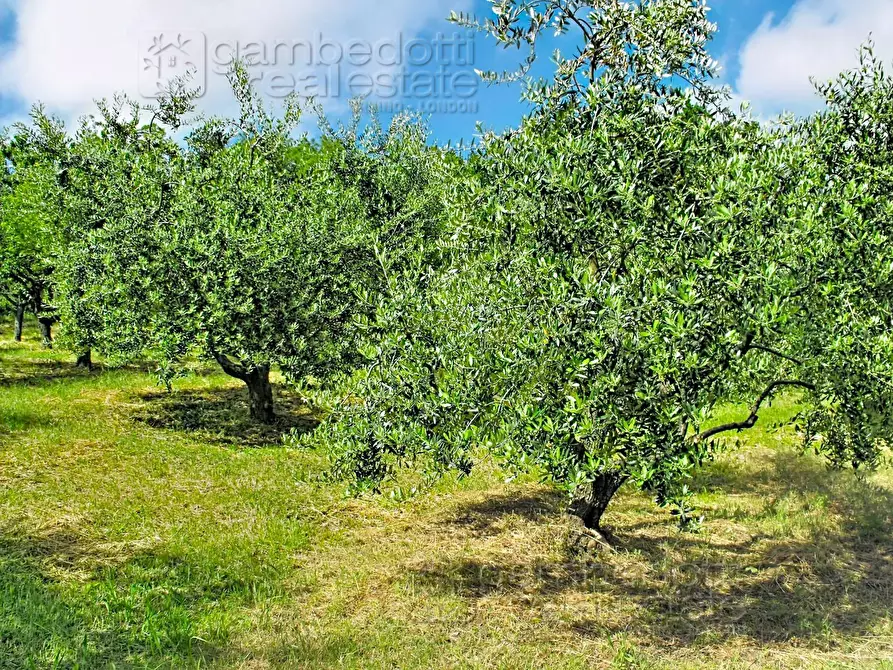 Immagine 98 di Villa in vendita  a Urbino