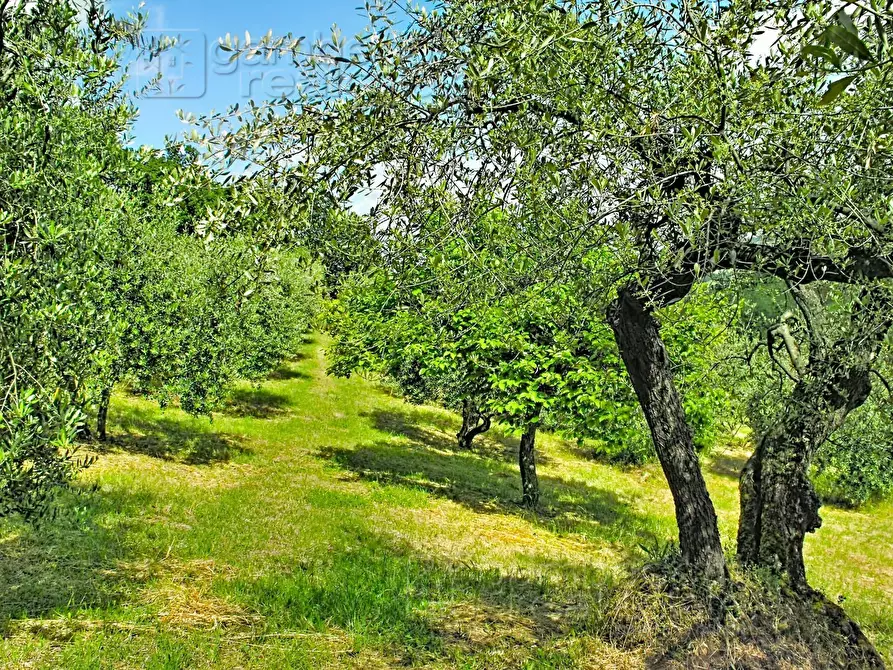 Immagine 99 di Villa in vendita  a Urbino