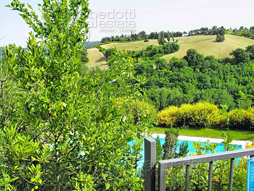 Immagine 88 di Villa in vendita  a Urbino