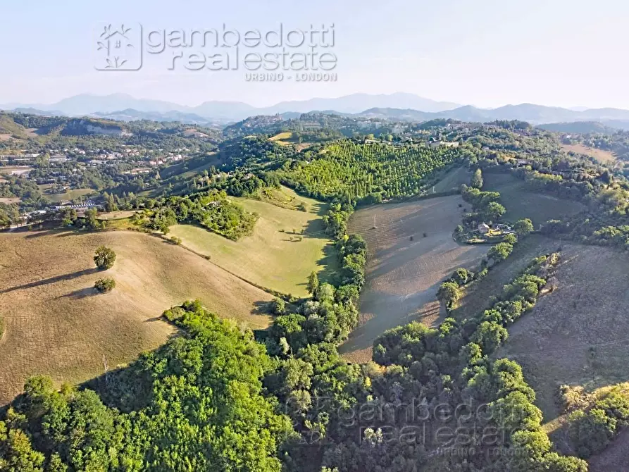 Immagine 101 di Villa in vendita  a Urbino