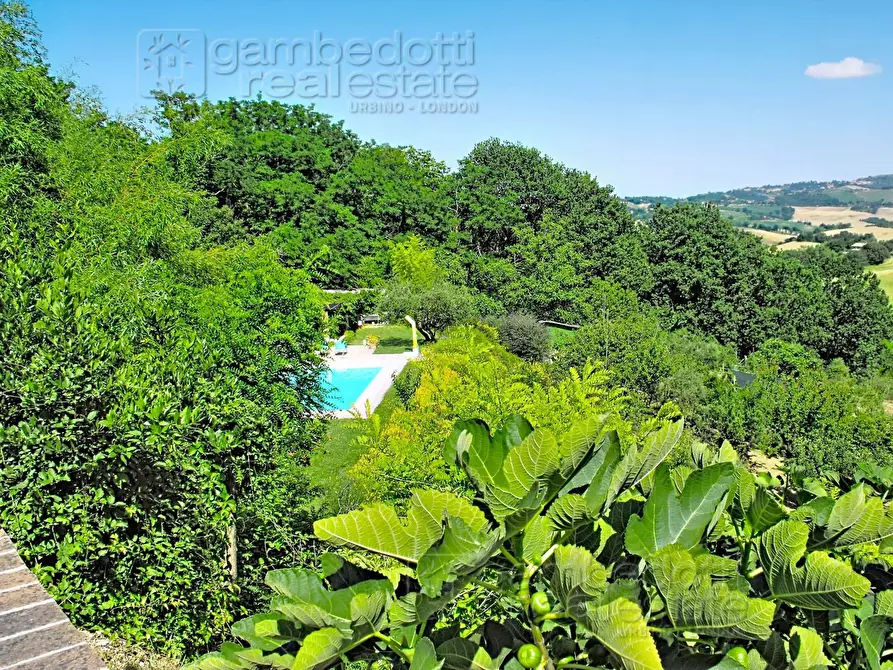 Immagine 87 di Villa in vendita  a Urbino