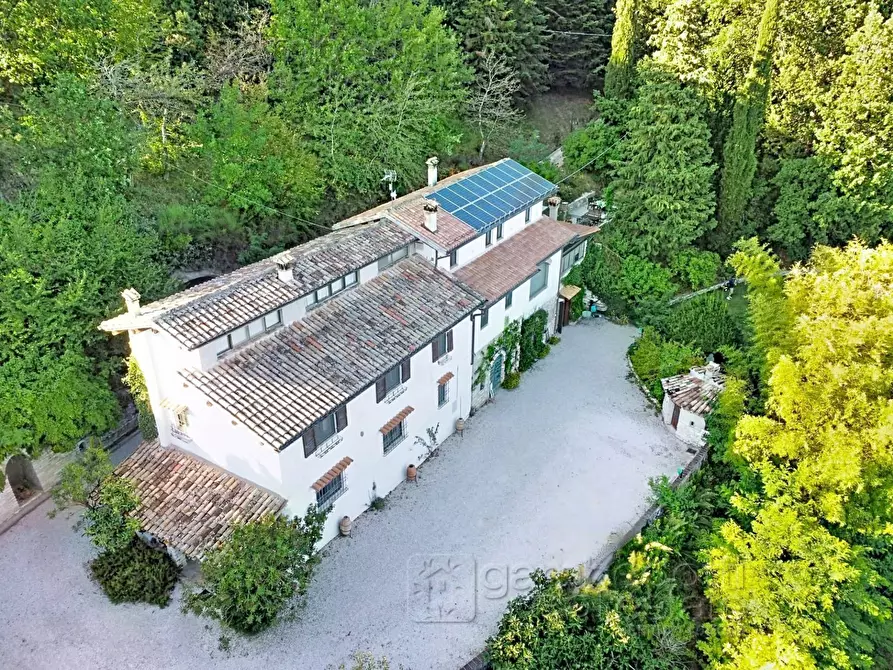 Immagine 100 di Villa in vendita  a Urbino
