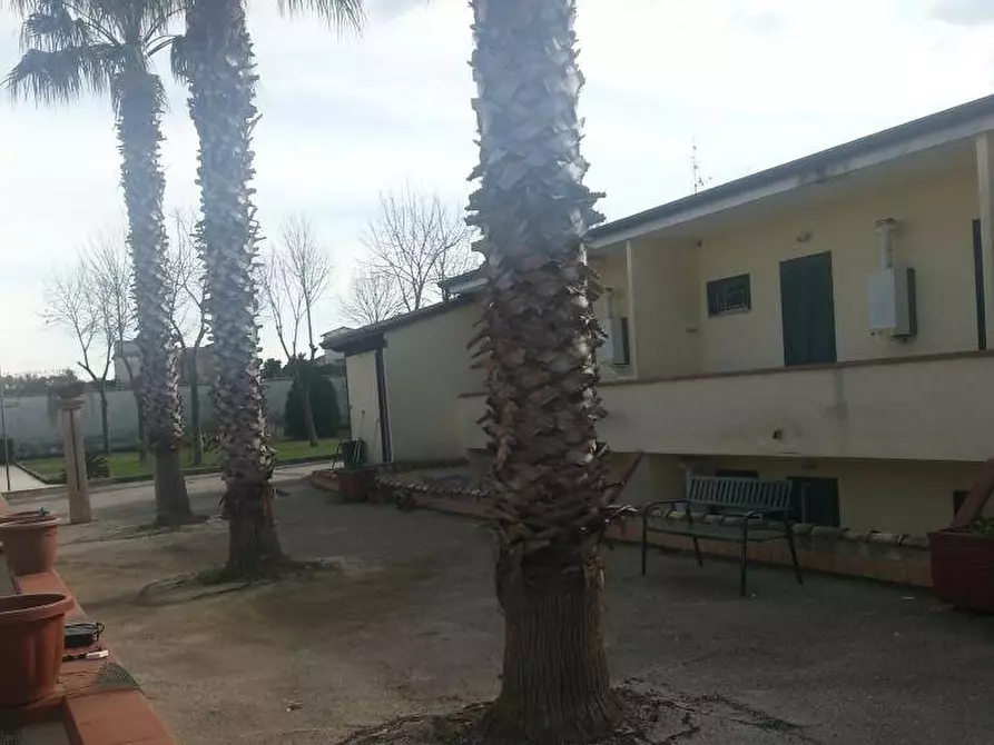 Immagine 20 di Appartamento in affitto  in Via Madonna del Pantano 1 a Giugliano In Campania