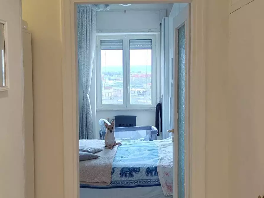 Immagine 22 di Appartamento in vendita  in Via Repubbliche marinare 100 a Napoli