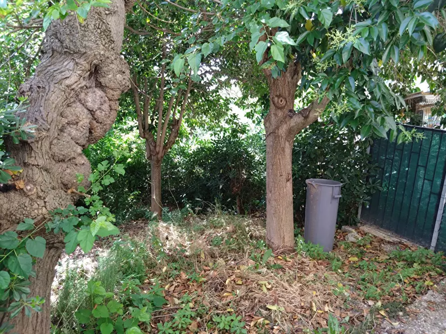 Immagine 48 di Casa indipendente in vendita  in piazza della liberta 18 a Acquaviva Picena