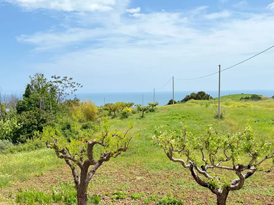 Immagine 12 di Villa in vendita  in strada vicinale della viscontessa 1 a San Benedetto Del Tronto