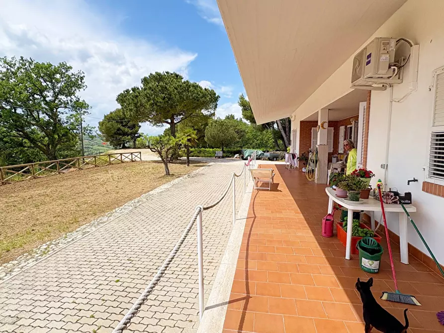 Immagine 15 di Villa in vendita  in strada vicinale della viscontessa 1 a San Benedetto Del Tronto