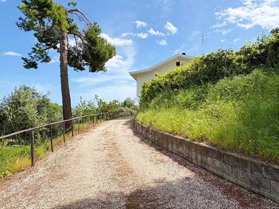 Immagine 18 di Villa in vendita  in strada vicinale della viscontessa 1 a San Benedetto Del Tronto