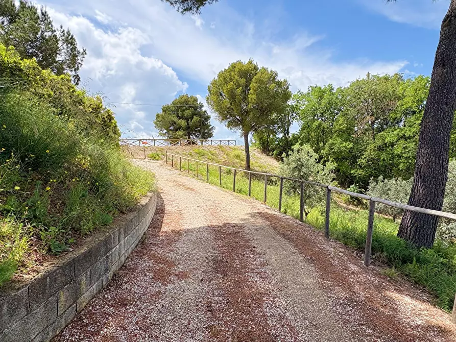 Immagine 19 di Villa in vendita  in strada vicinale della viscontessa 1 a San Benedetto Del Tronto