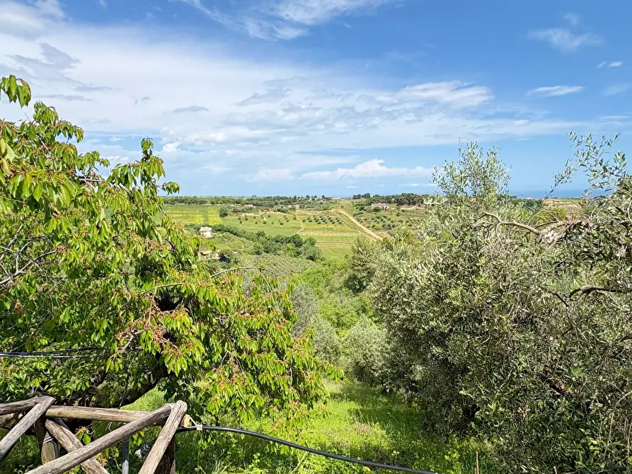 Immagine 21 di Villa in vendita  in strada vicinale della viscontessa 1 a San Benedetto Del Tronto