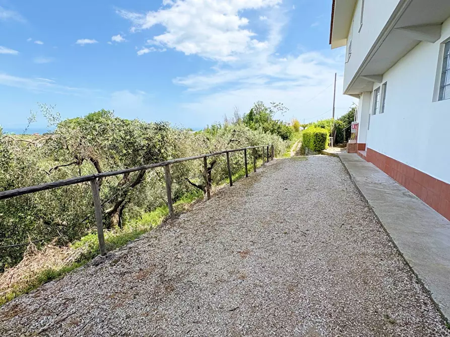 Immagine 22 di Villa in vendita  in strada vicinale della viscontessa 1 a San Benedetto Del Tronto