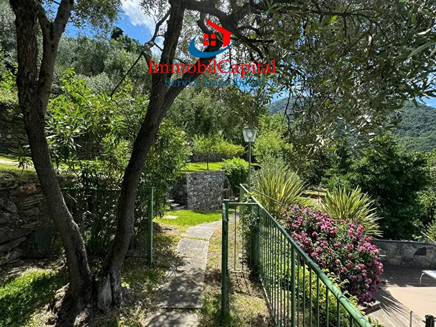 Immagine 22 di Villa in vendita  in Via Franco Molfino a Camogli