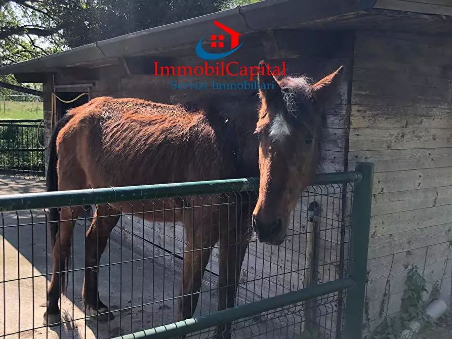 Immagine 3 di Rustico / casale in vendita  in Via Genova a Soresina