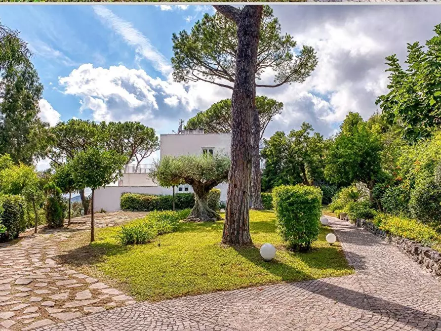 Immagine 7 di Villa in vendita  a Ischia