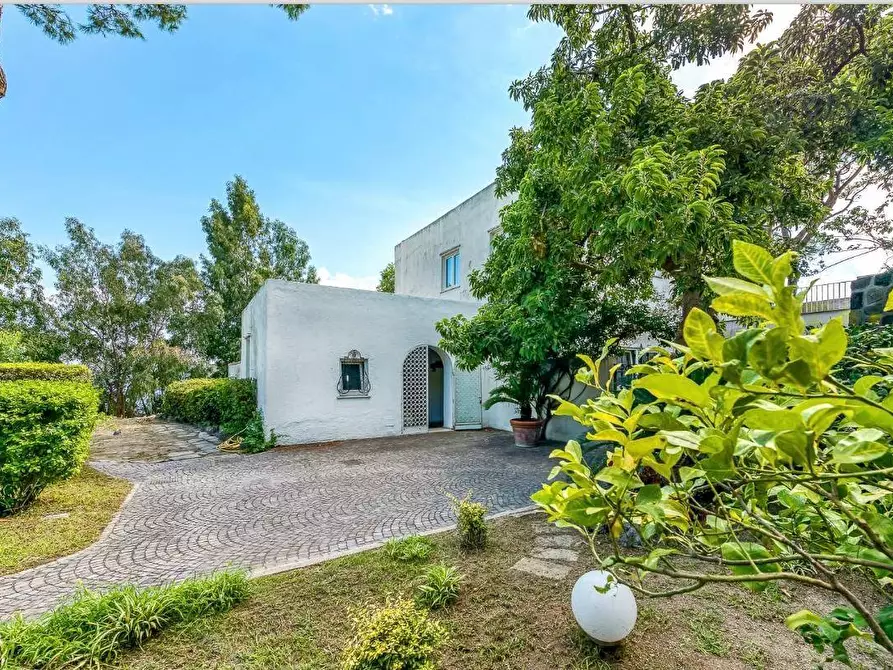 Immagine 9 di Villa in vendita  a Ischia