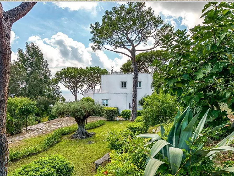 Immagine 15 di Villa in vendita  a Ischia