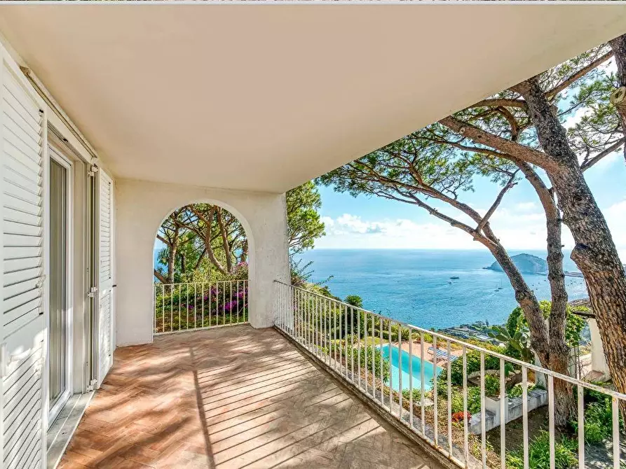 Immagine 20 di Villa in vendita  a Ischia
