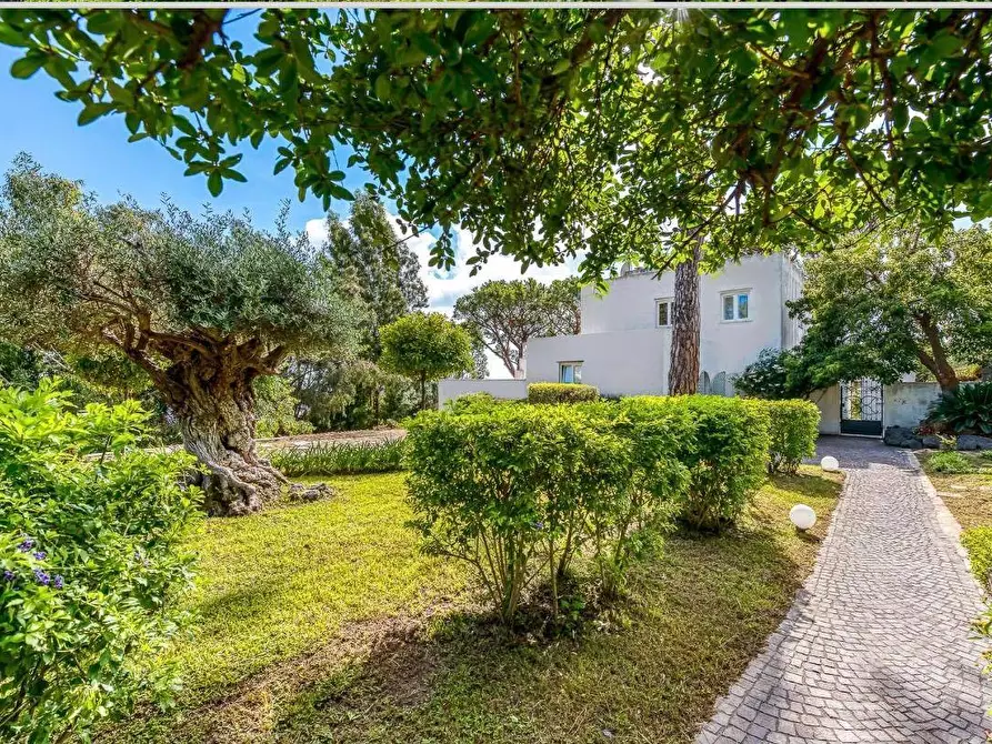 Immagine 27 di Villa in vendita  a Ischia