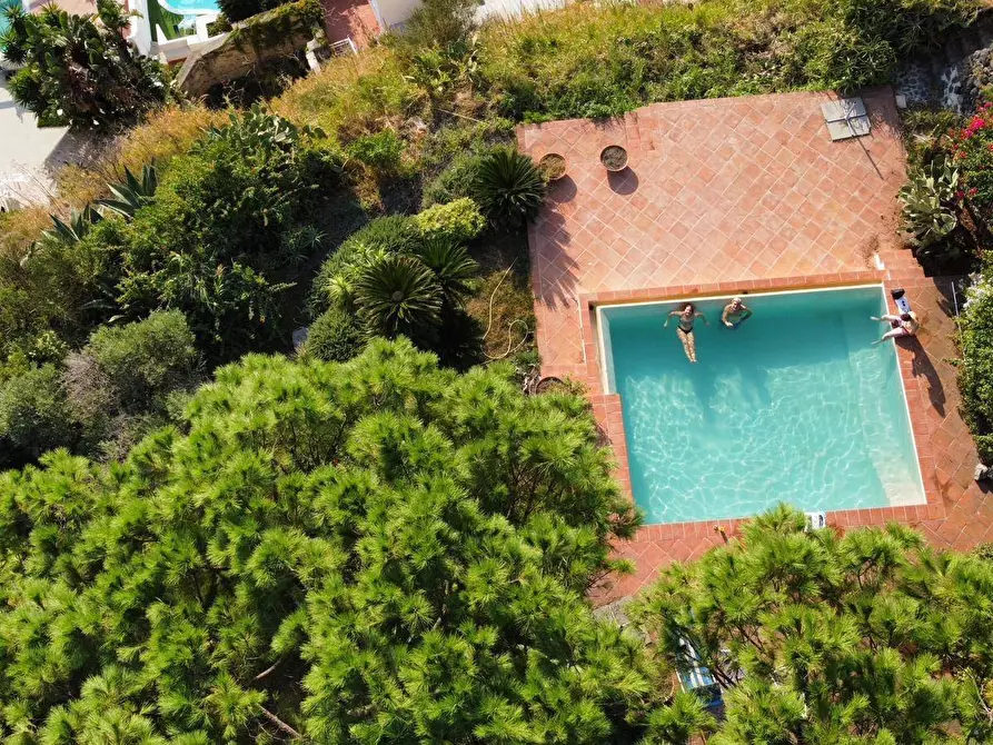 Immagine 32 di Villa in vendita  a Ischia