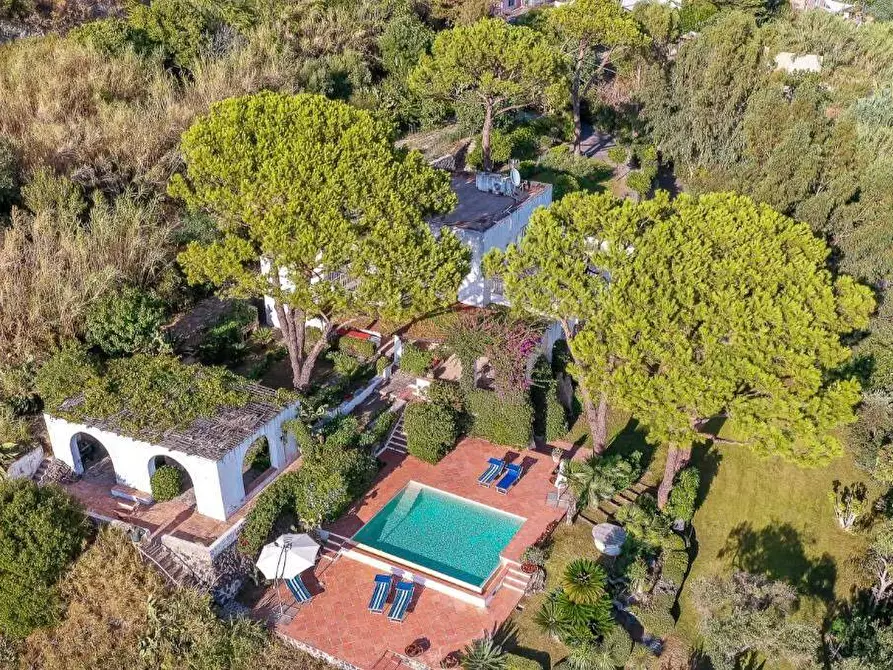 Immagine 33 di Villa in vendita  a Ischia