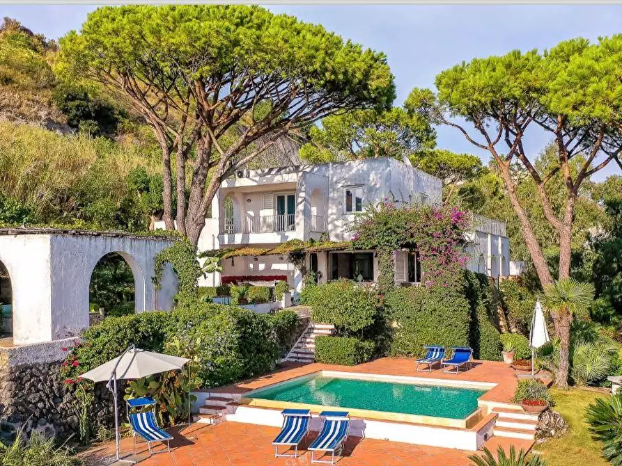 Immagine 35 di Villa in vendita  a Ischia