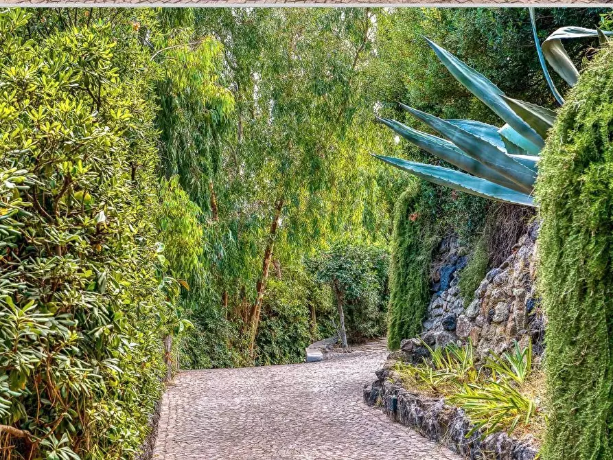 Immagine 38 di Villa in vendita  a Ischia