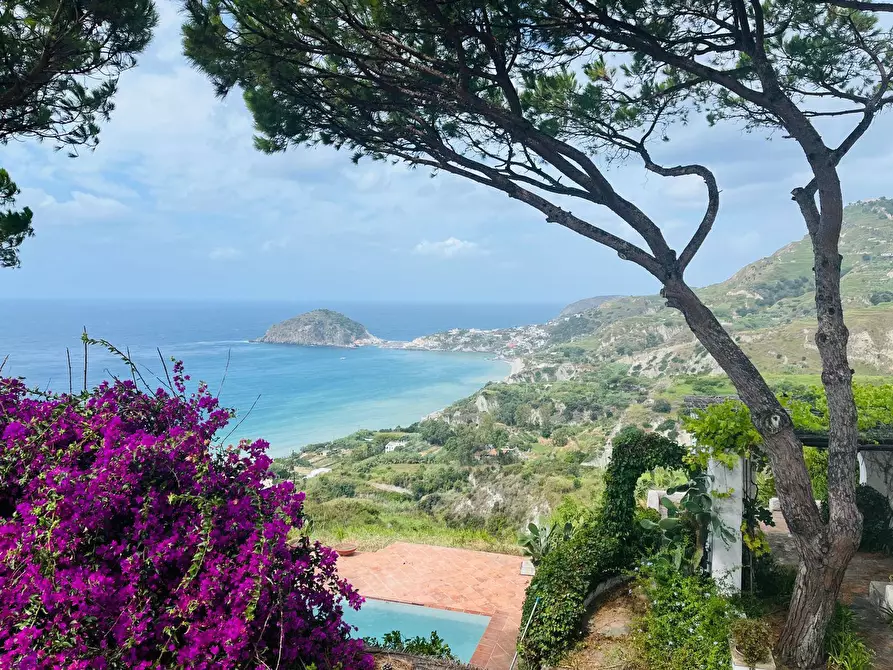 Immagine 40 di Villa in vendita  a Ischia