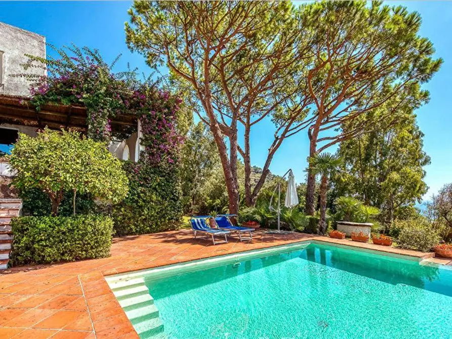 Immagine 41 di Villa in vendita  a Ischia