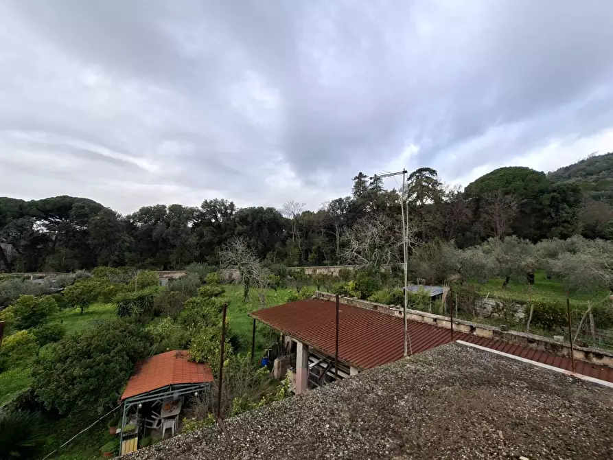 Immagine 22 di Appartamento in vendita  in VIA BELLOMO 7 a Caserta