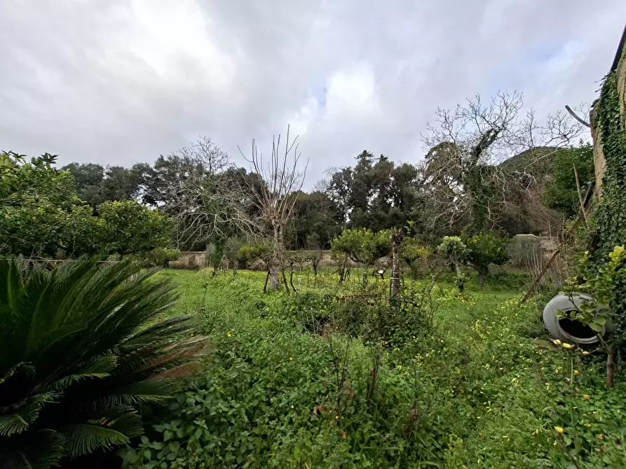 Immagine 26 di Appartamento in vendita  in VIA BELLOMO 7 a Caserta