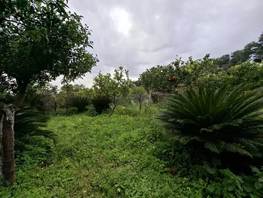 Immagine 27 di Appartamento in vendita  in VIA BELLOMO 7 a Caserta