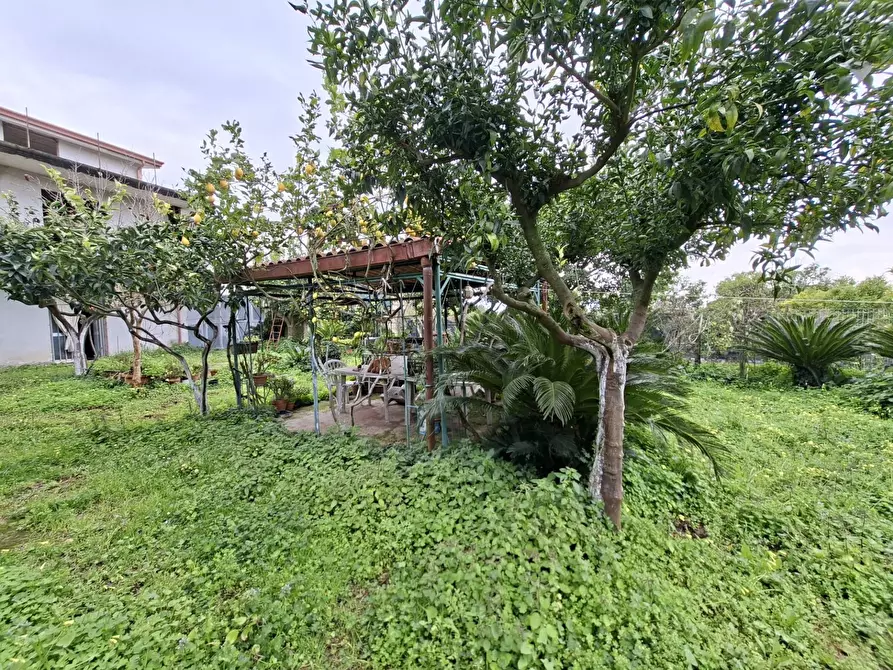 Immagine 28 di Appartamento in vendita  in VIA BELLOMO 7 a Caserta